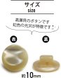 画像2: 高瀬貝 フラット ボタン 【ライトベージュ】 シェルボタン 貝ボタン 貝製 5個入り 【10mm】 ボタンマート B-757 (2)