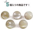 画像4: 高瀬貝 フラット ボタン 【ライトベージュ】 シェルボタン 貝ボタン 貝製 5個入り 【10mm】 ボタンマート B-757 (4)