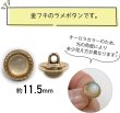 画像2: オーロラ ラメボタン 足つき 【ベージュ】 金フチ ボタン グリッター かわいい 8個入り 【11.5mm】 ボタンマート B-867 (2)