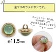 画像2: オーロラ ラメボタン 足つき 【ライトグリーン】 緑 金フチ ボタン グリッター かわいい 8個入り 【11.5mm】 ボタンマート B-869 (2)