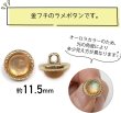 画像2: オーロラ ラメボタン 足つき 【オレンジ】 金フチ ボタン グリッター かわいい 8個入り 【11.5mm】 ボタンマート B-871 (2)