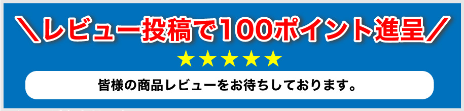 レビュー投稿で100ポイント進呈